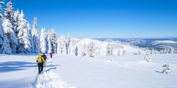 Snow Adventures